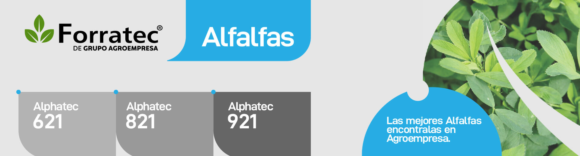 Alfalfas Forratec - Grupo Agroempresa