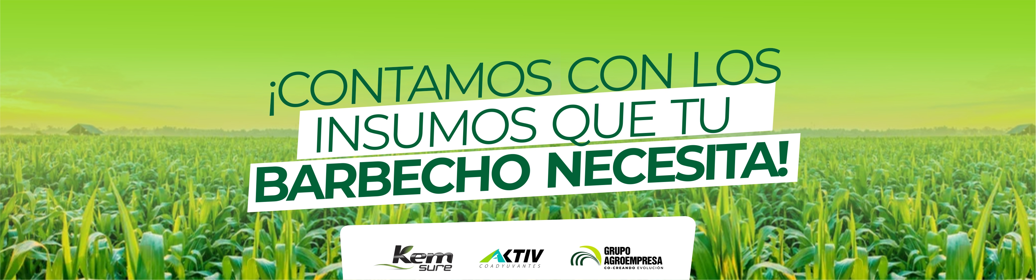 Barbecho - Grupo Agroempresa