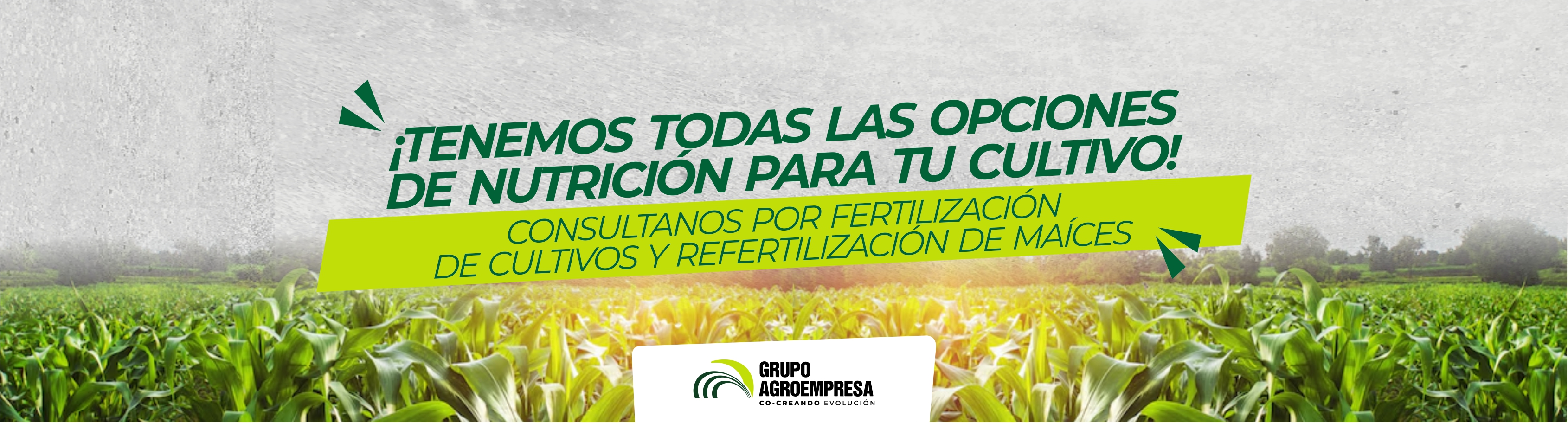 Híbrido - Grupo Agroempresa