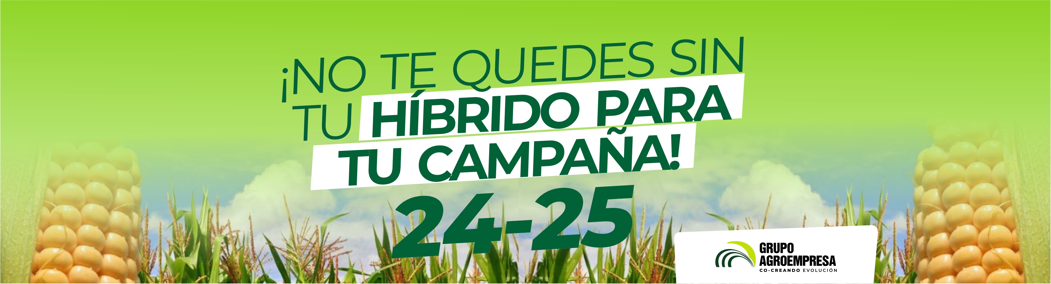 Híbrido - Grupo Agroempresa