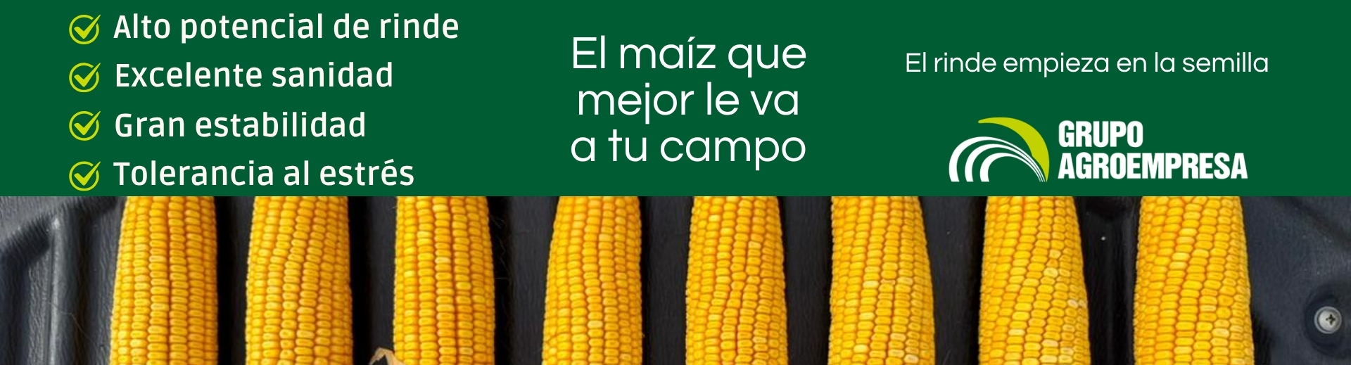 Híbrido - Grupo Agroempresa