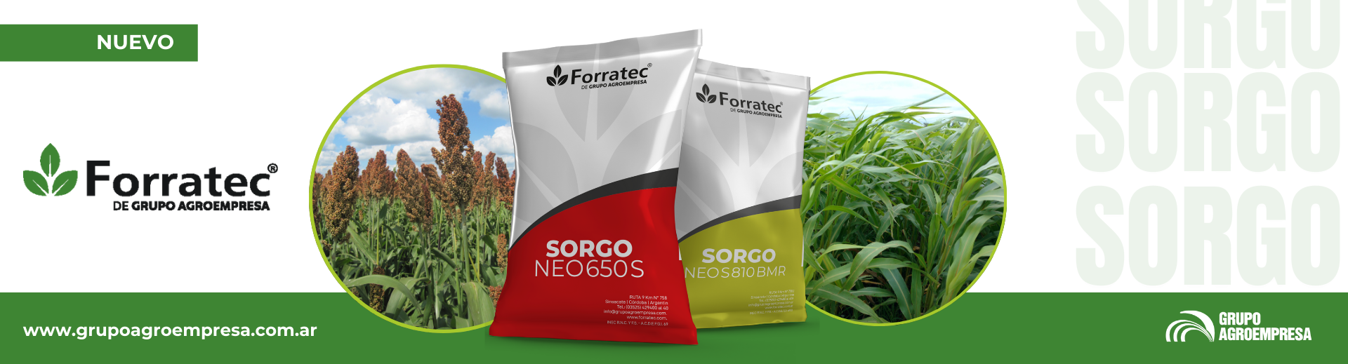 Nuevos Sorgos Forratec - Grupo Agroempresa